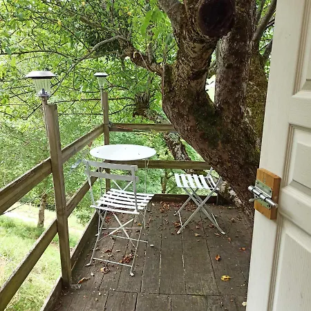 Camping Dans Un Pommier