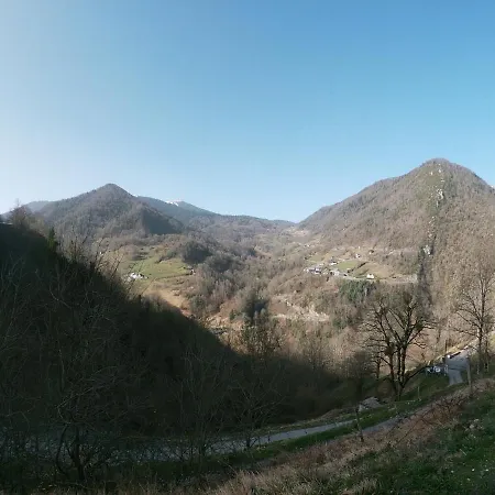 Campsite Dans Un Pommier *