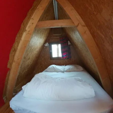 Dans Un Pommier