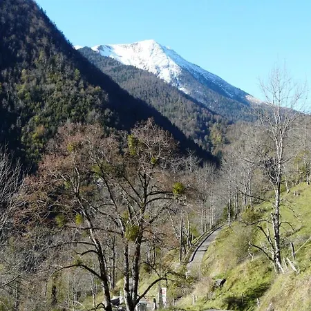 Dans Un Pommier Campsite Boutx