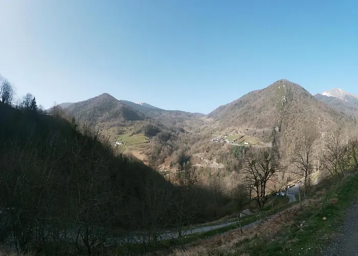 Kemping Dans Un Pommier *