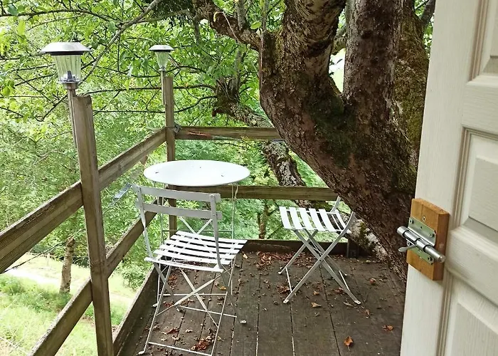 Kemping Dans Un Pommier