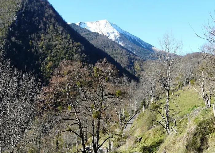 Dans Un Pommier Kemping Boutx