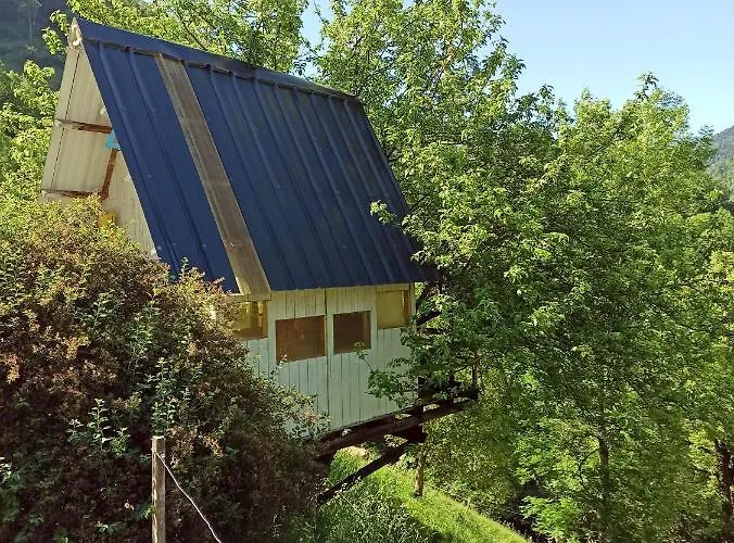 Kemping Dans Un Pommier Boutx